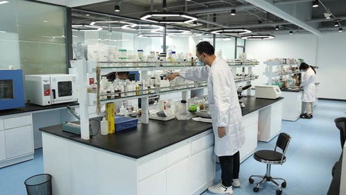 三八節(jié)化妝品網(wǎng)絡(luò)零售額超2.5億元，濟(jì)南高新區(qū)美妝產(chǎn)業(yè)再創(chuàng)新佳績(jī)